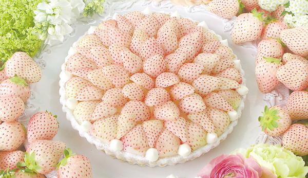 罕見白色士多啤梨！ 日本超浪漫白色草莓撻